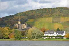 Blick auf Schloss Arenfels und Weinberg.jpg